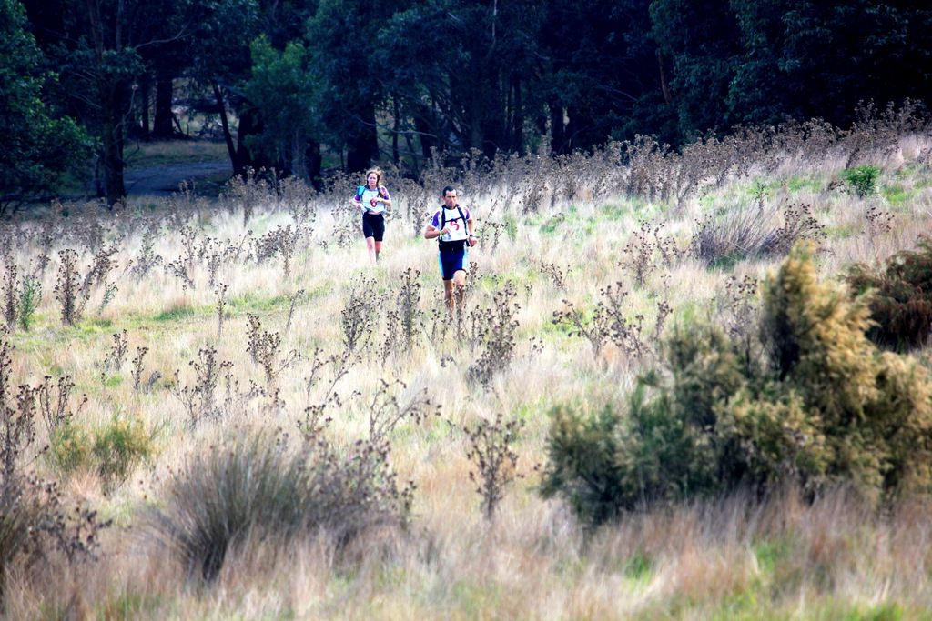 Sprint Adventure Race - Lysterfield'15